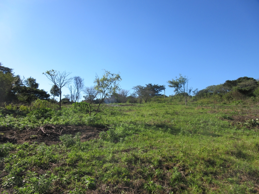 0 Bedroom Property for Sale in Bathurst Eastern Cape